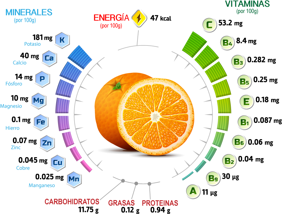 Orange Nutritional Information Graphic PNG image