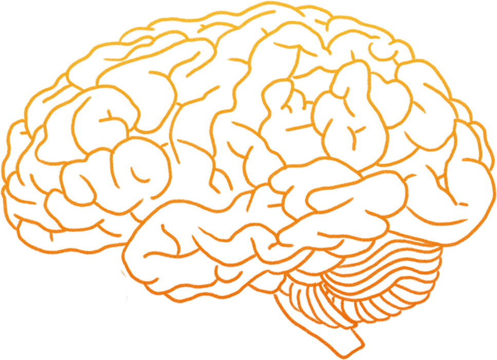 Orange Outline Brain Clipart PNG image