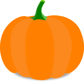 Orange Pumpkin Vector Illustration PNG image