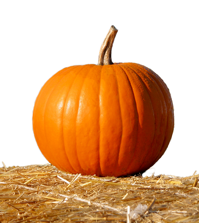 Orange Pumpkinon Hay Bale PNG image