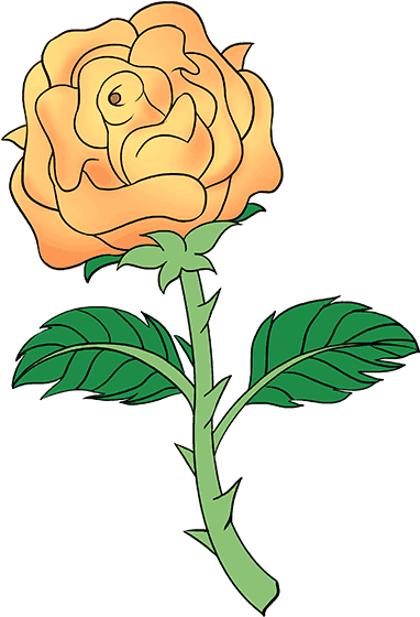 Orange Rose Illustration.png PNG image