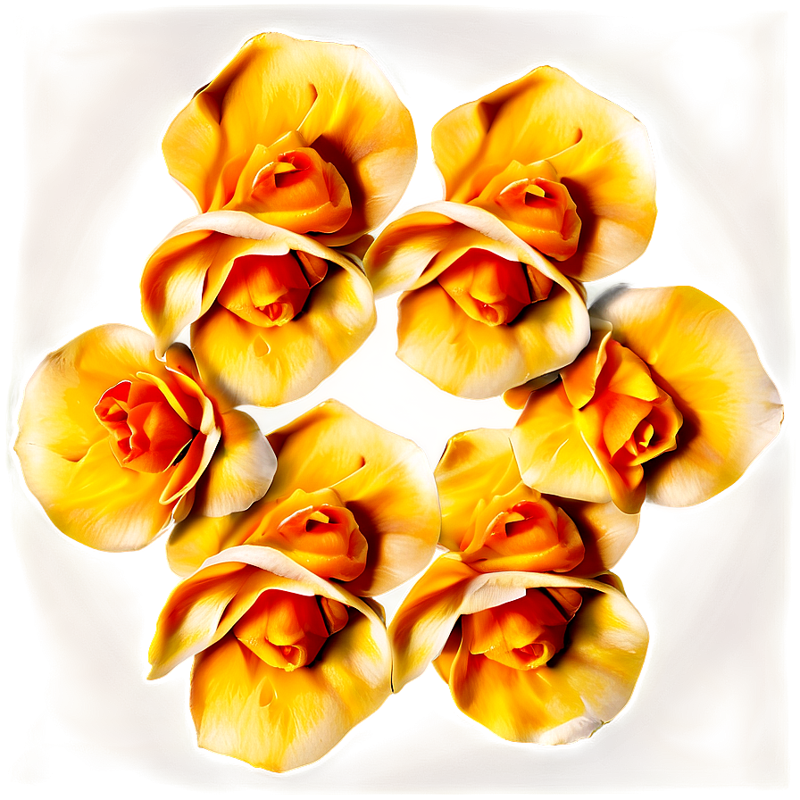 Orange Rose Petals Png Sxq10 PNG image