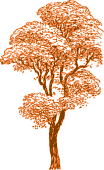 Orange Silhouette Tree Art PNG image