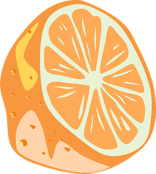 Orange Slice Illustration PNG image