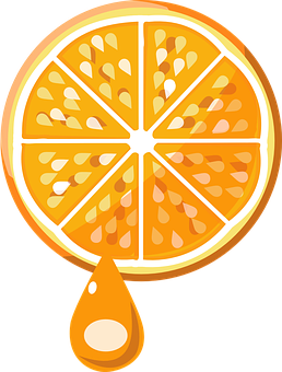 Orange Slice Juice Drip Vector PNG image