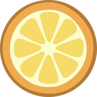 Orange Slice Vector Illustration PNG image