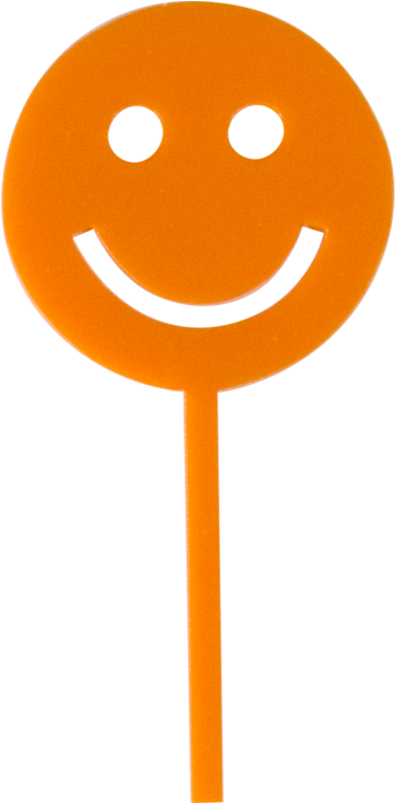 Orange Smiley Face Lollipop PNG image
