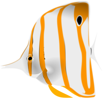 Orange Striped Angelfish Illustration PNG image