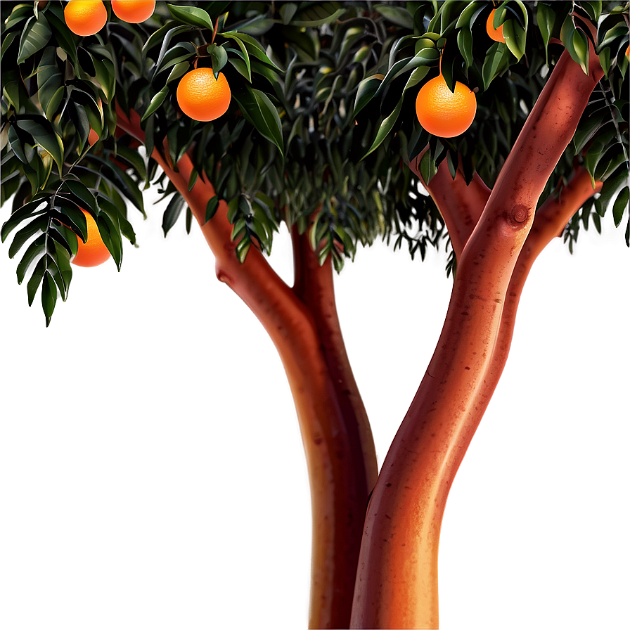 Orange Tree Garden Png 06132024 PNG image