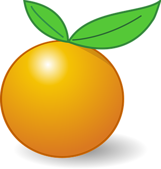 Orange Vector Illustration PNG image