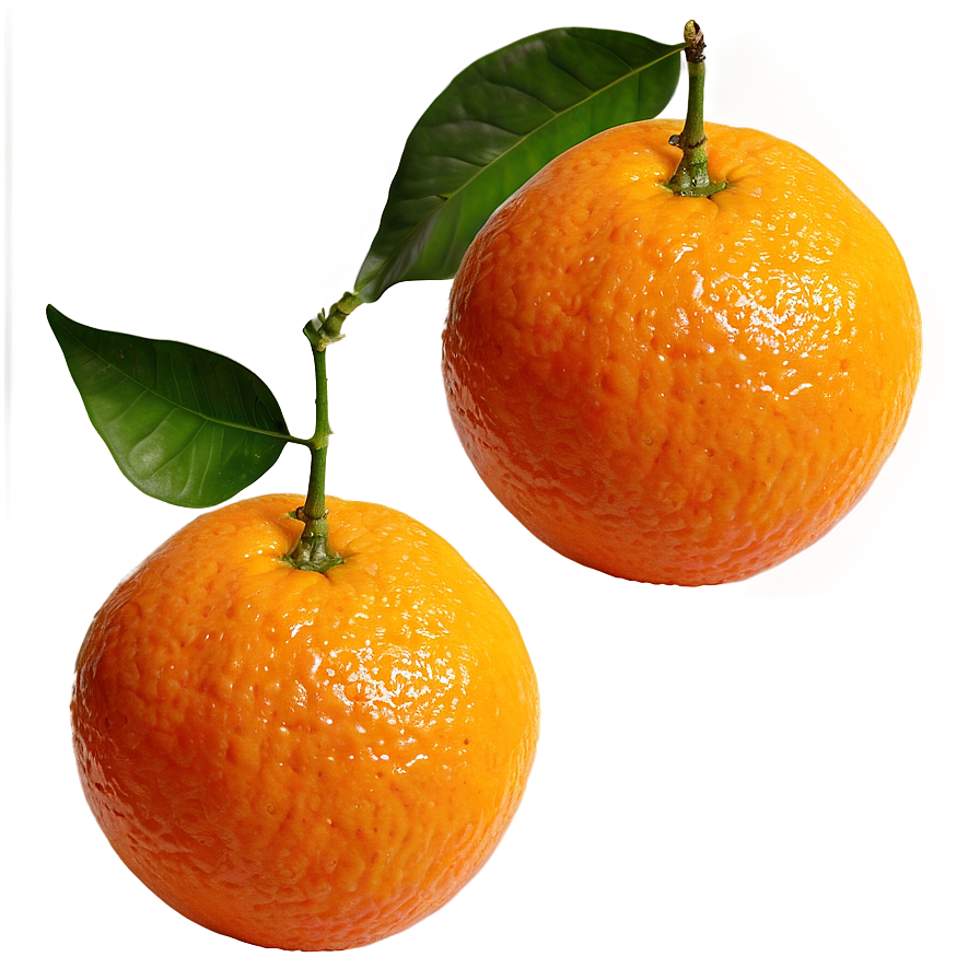 Oranges B PNG image