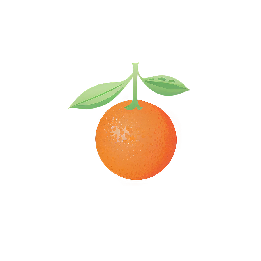 Oranges Illustration Png 53 PNG image