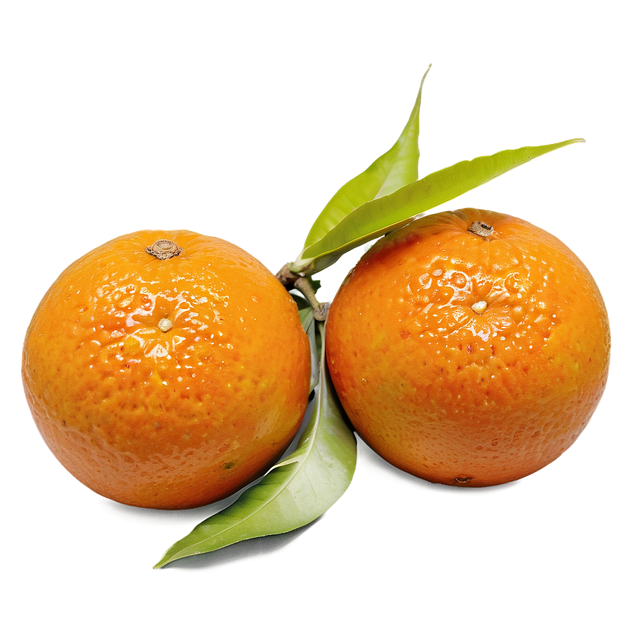 Oranges Top View Png 17 PNG image