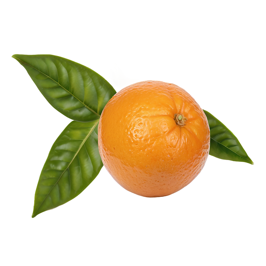 Oranges Top View Png 22 PNG image