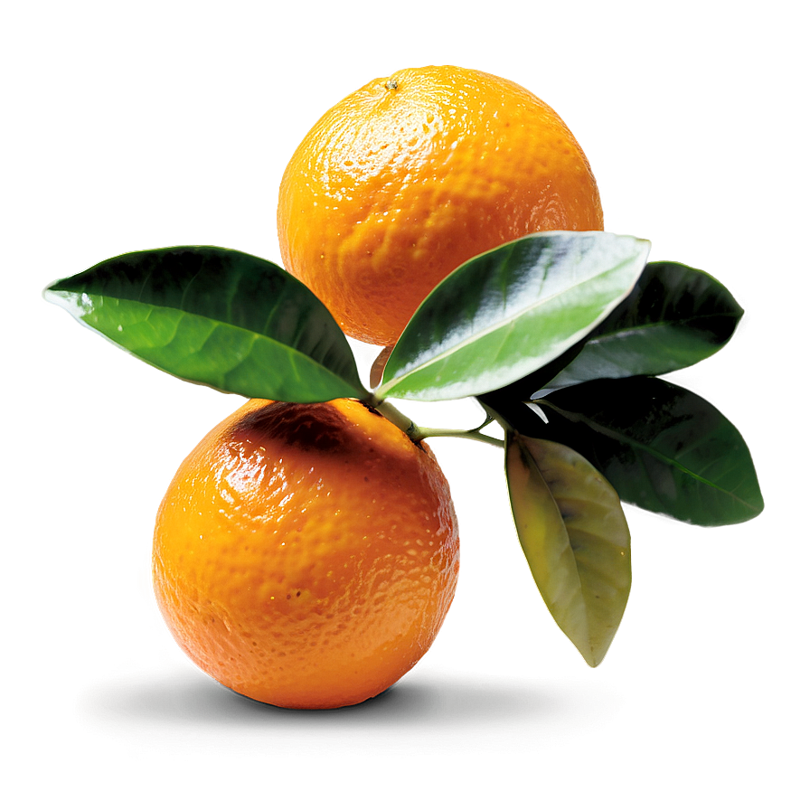 Oranges With Leaves Png 06112024 PNG image