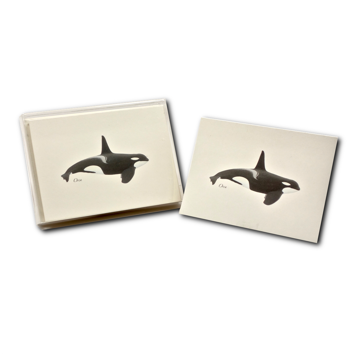 Orca Coasters Set PNG image