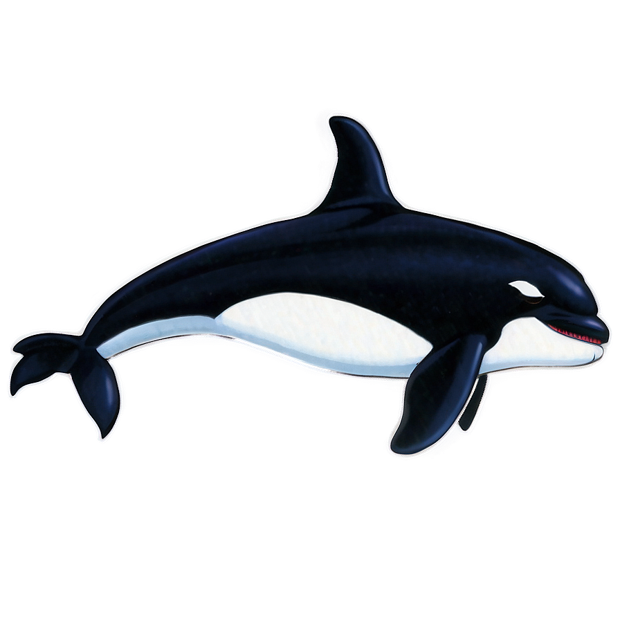 Orca Duo Png Nmr76 PNG image