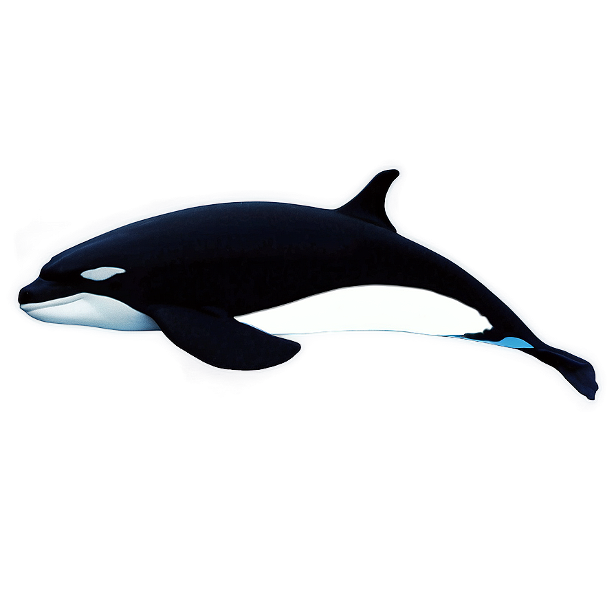 Orca Pod Silhouette Png Cne96 PNG image