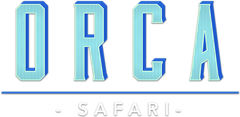 Orca Safari Logo PNG image