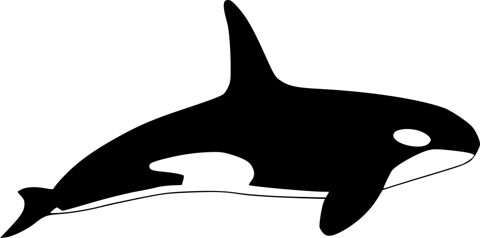 Orca Silhouette Graphic PNG image