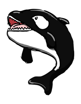 Orca_ Vector_ Art_ Illustration PNG image