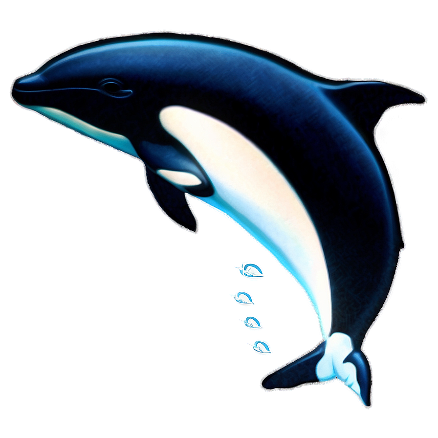 Orca Whale Family Png 06292024 PNG image