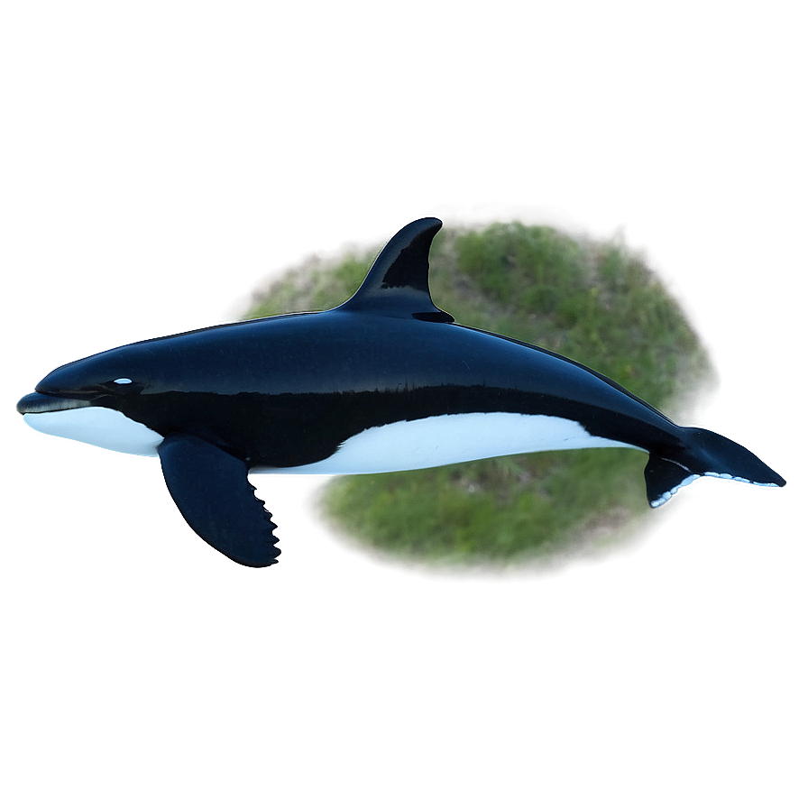 Orca Whale Silhouette At Dusk Png 9 PNG image