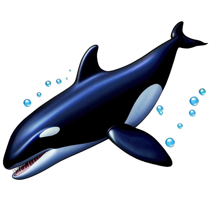 Orca Whale Vector Png 31 PNG image