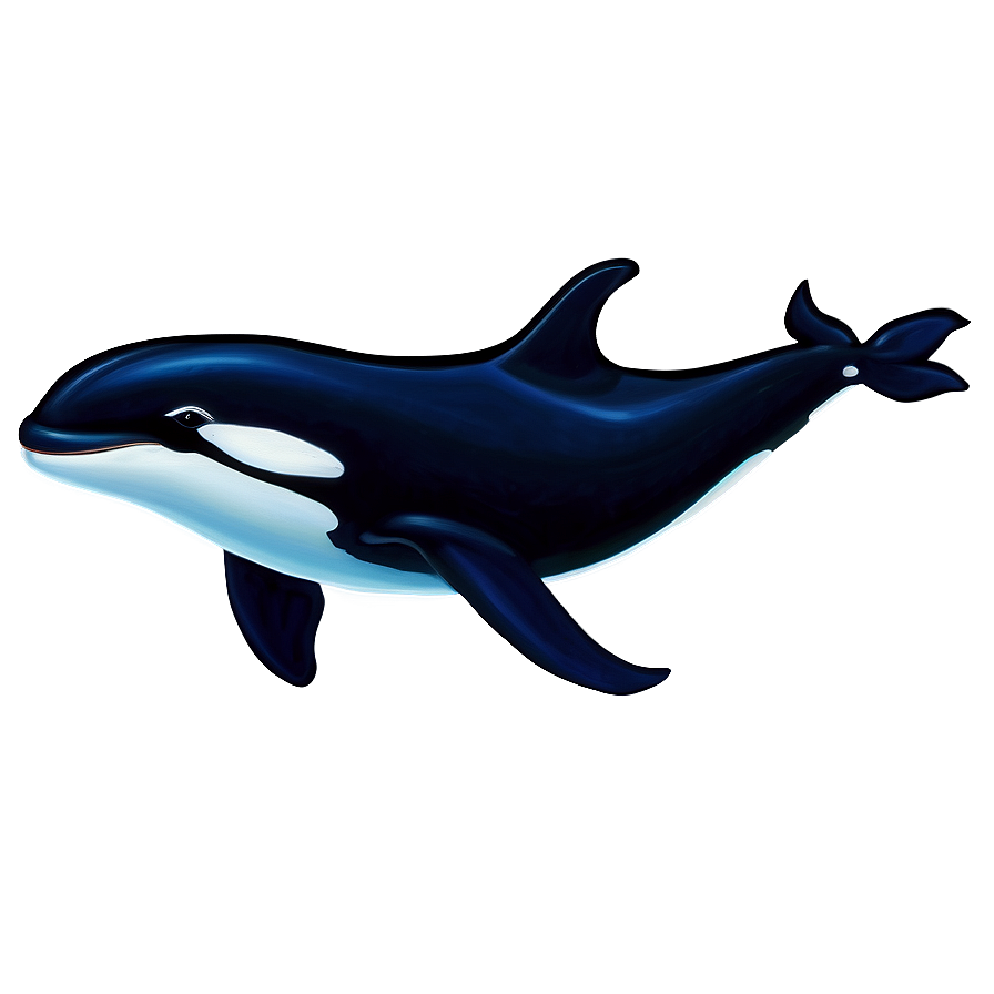 Orca With Calf Png Vqj PNG image