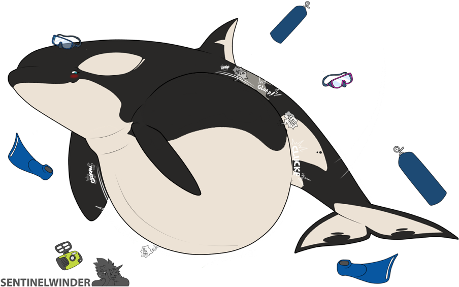 Orca_with_ Diving_ Equipment_ Illustration PNG image