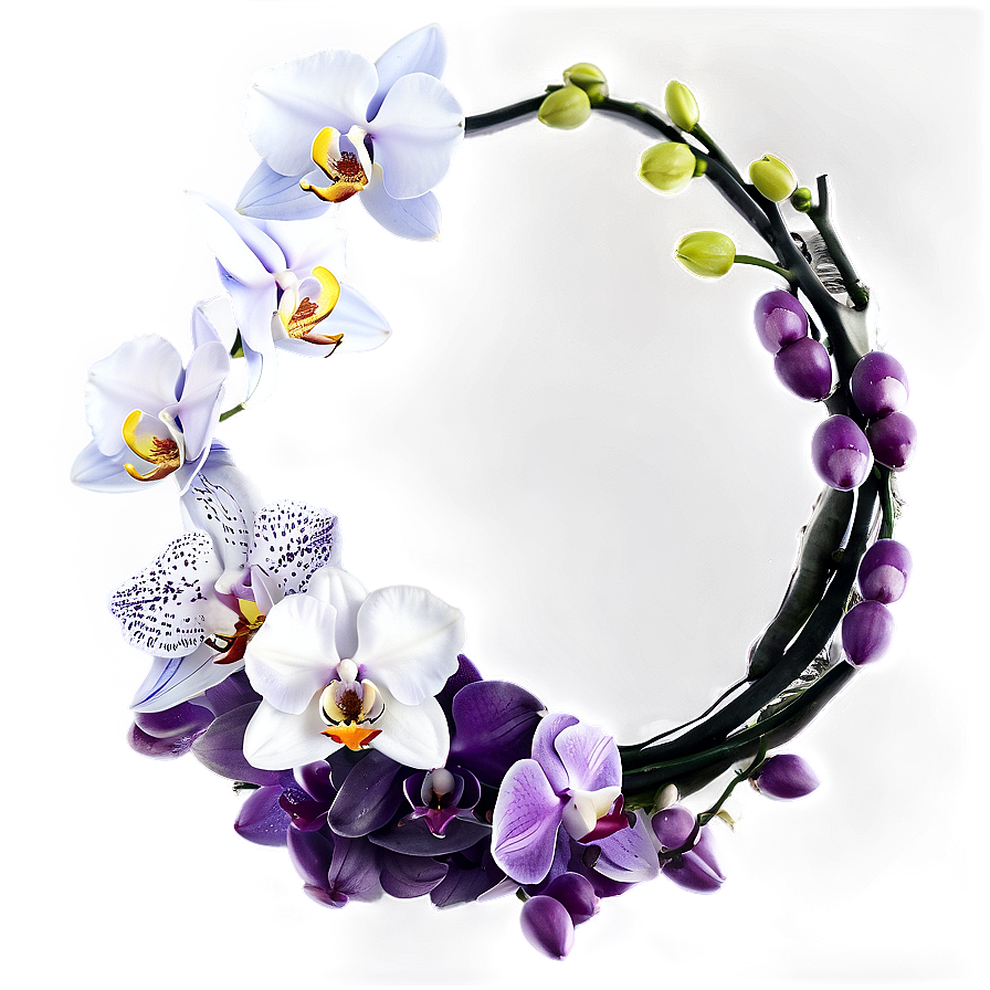 Orchid Flower Circle Png 69 PNG image