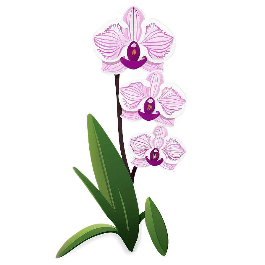 Orchid Flower Cricut Creation Png 06282024 PNG image