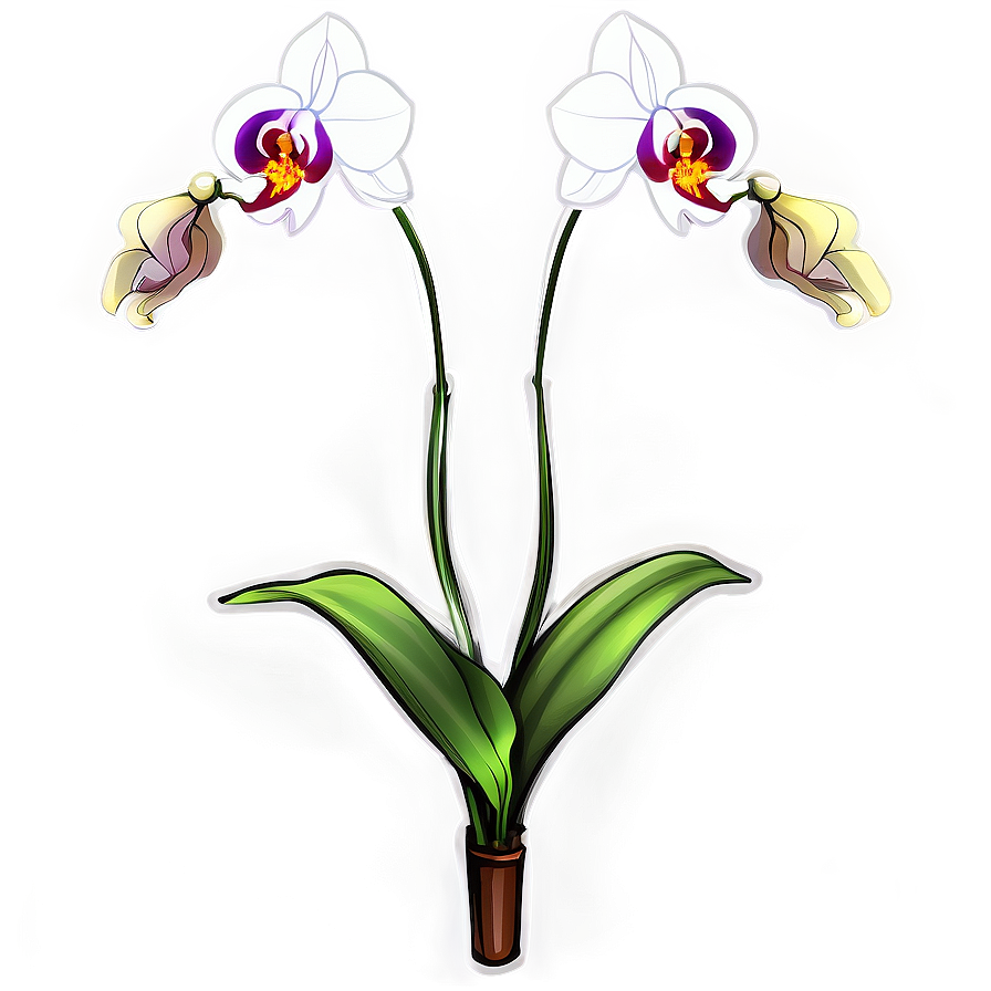 Orchid Flower Sketch Png Yuc44 PNG image