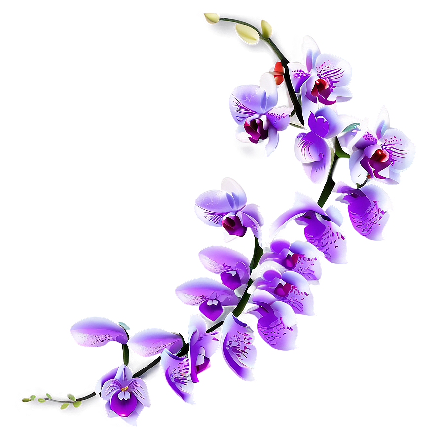 Orchid Illustration Png Ksx73 PNG image