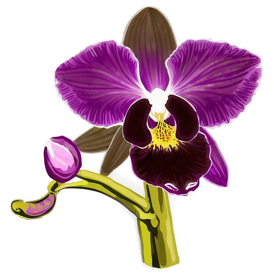 Orchid Purple Png 05242024 PNG image