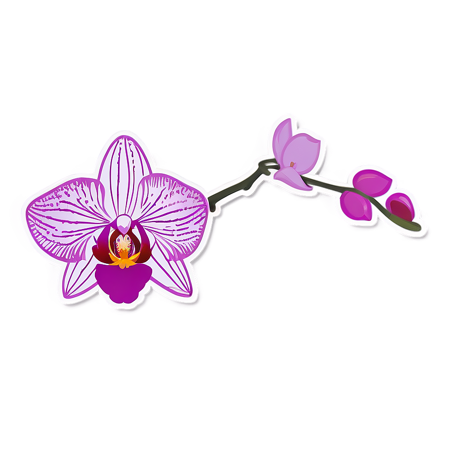 Orchid Sticker Image Png 06272024 PNG image