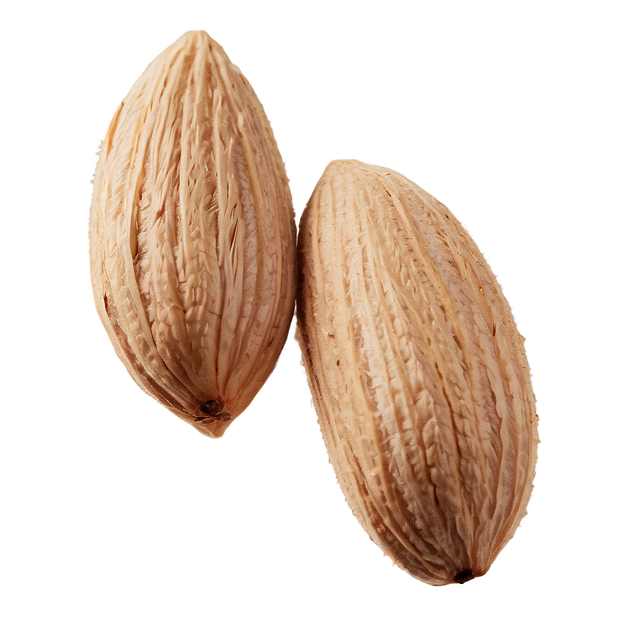 Organic Almond Png Xkc89 PNG image