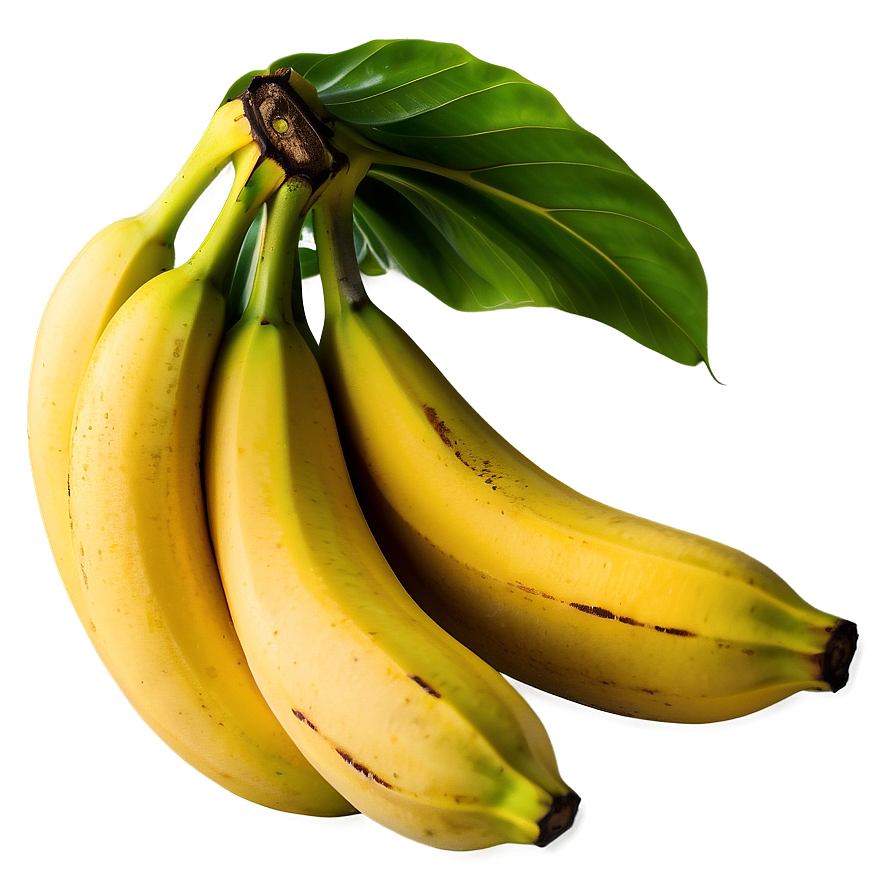 Organic Banana Picture Png Ush72 PNG image