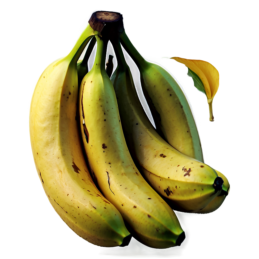 Organic Banana Png Ciw21 PNG image