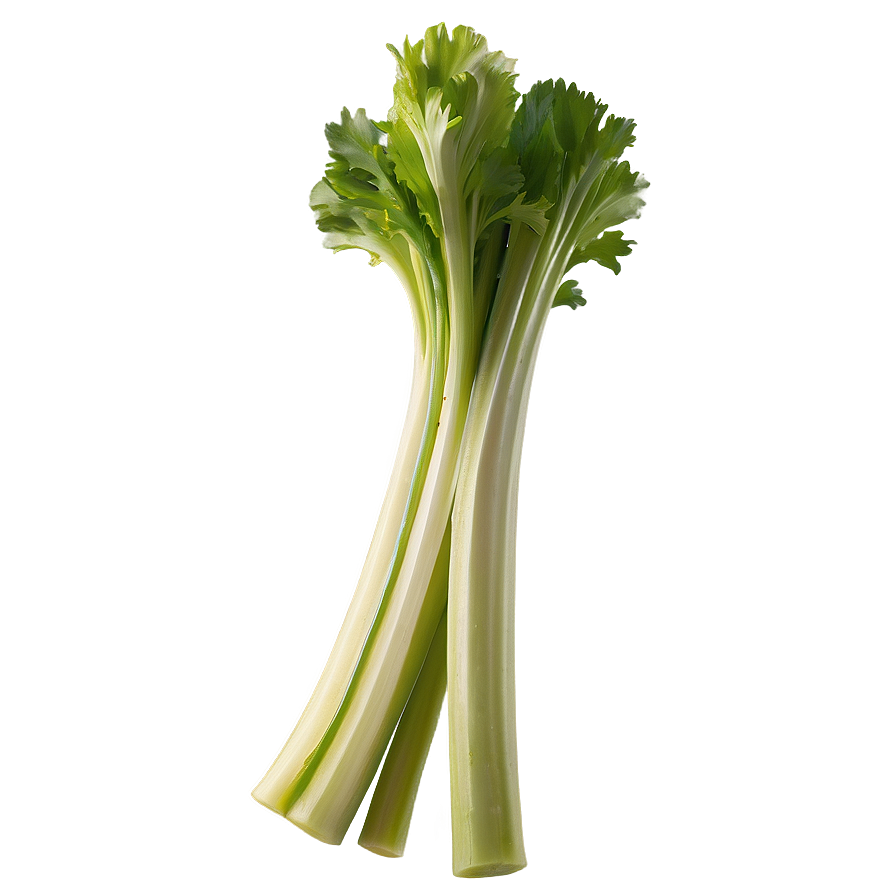 Organic Celery Stick Png 78 PNG image