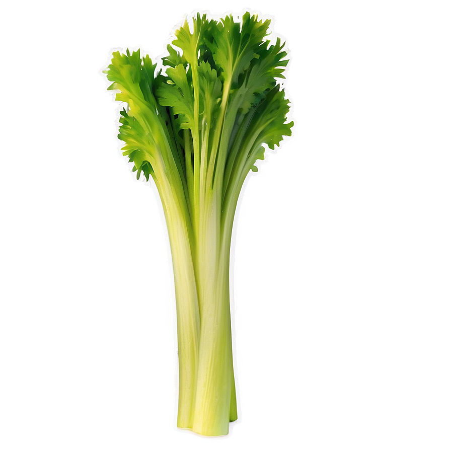 Organic Celery Stick Png 84 PNG image