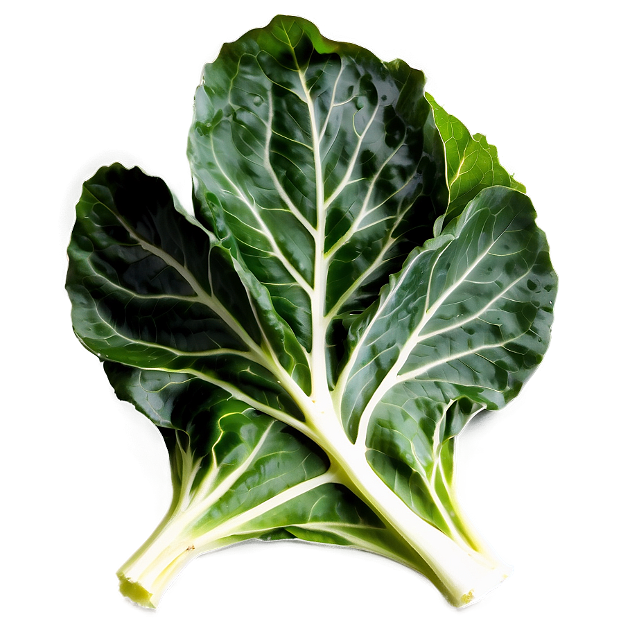 Organic Collard Greens Png 06252024 PNG image