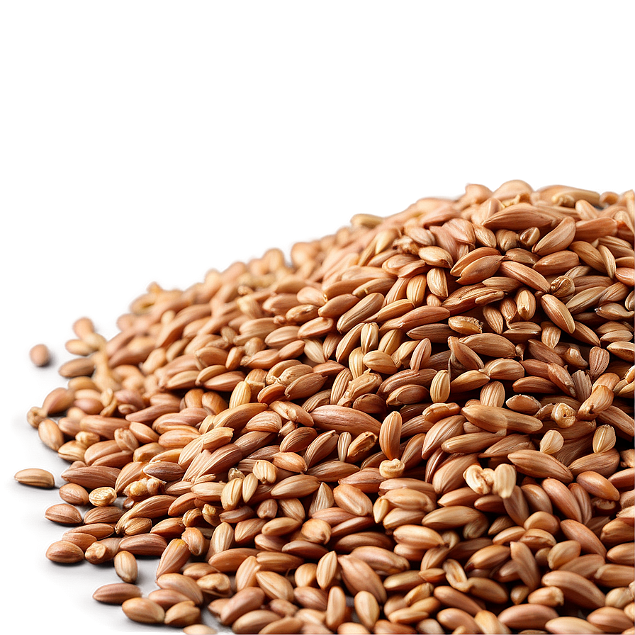 Organic Einkorn Wheat Berries Png Bmm PNG image