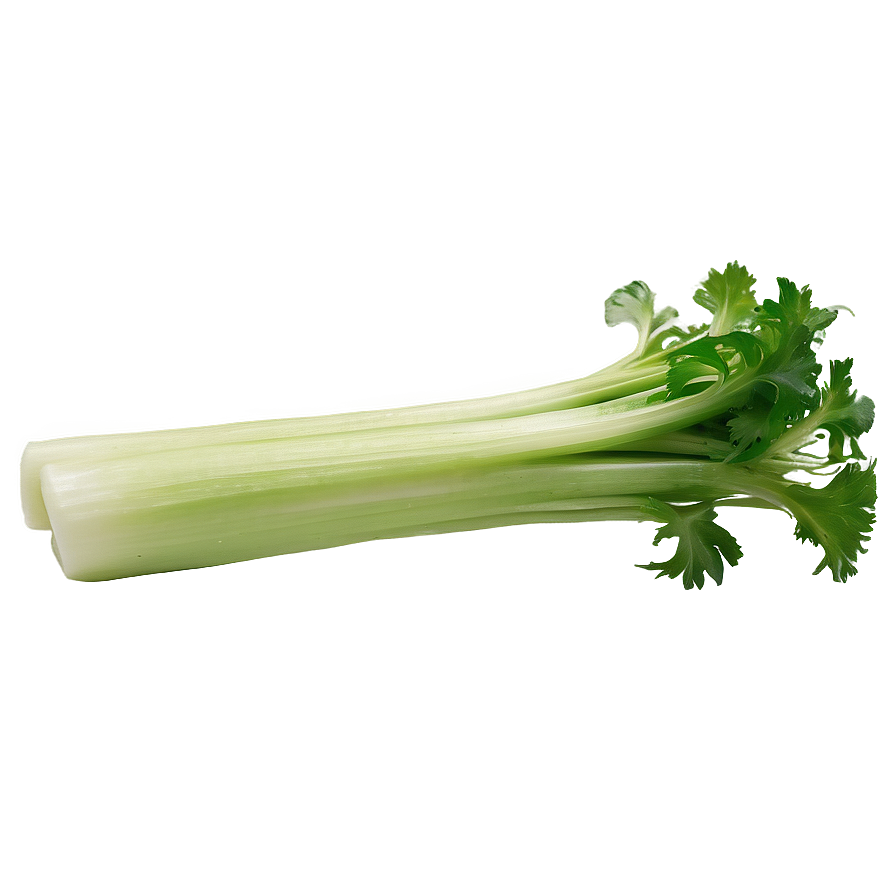 Organic Farm Celery Png 06252024 PNG image