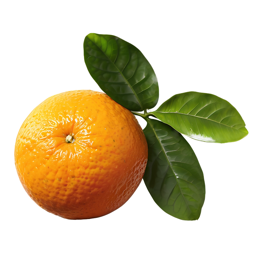 Organic Fresh Orange Png Hen PNG image