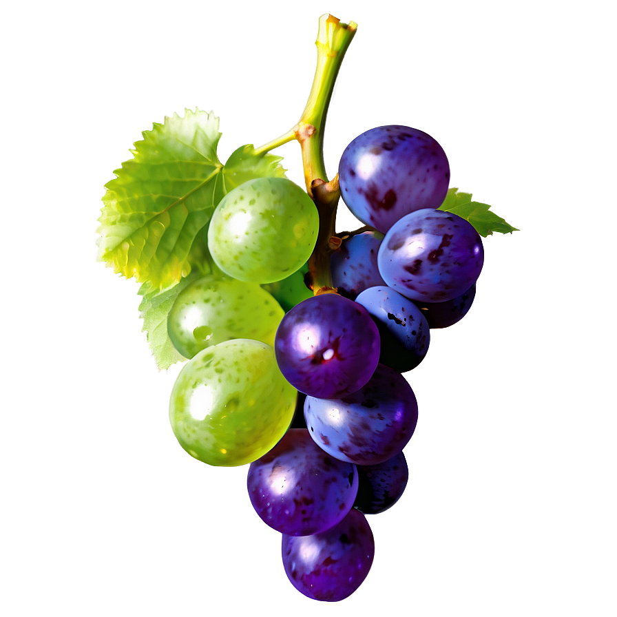 Organic Grape Png 27 PNG image