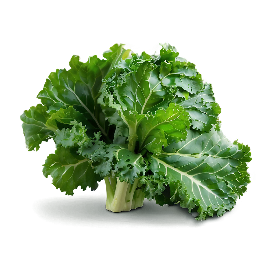 Organic Kale Leaves Bundle Png Ban PNG image