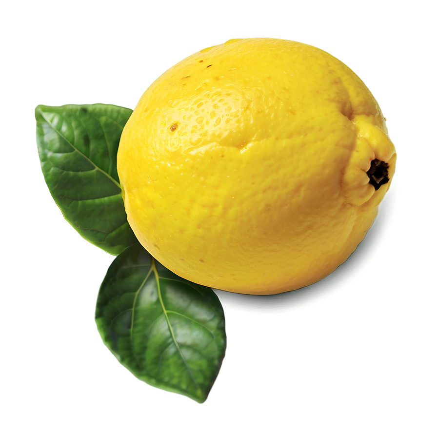 Organic Lemon Png 58 PNG image