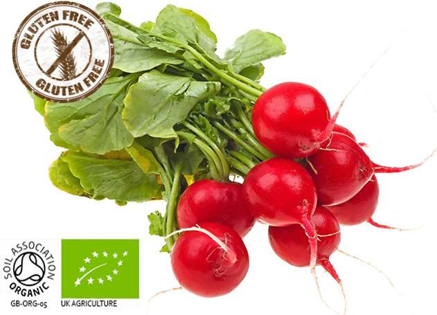 Organic Red Radishes Gluten Free PNG image