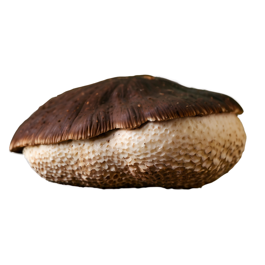 Organic Shiitake Mushroom Png 06252024 PNG image